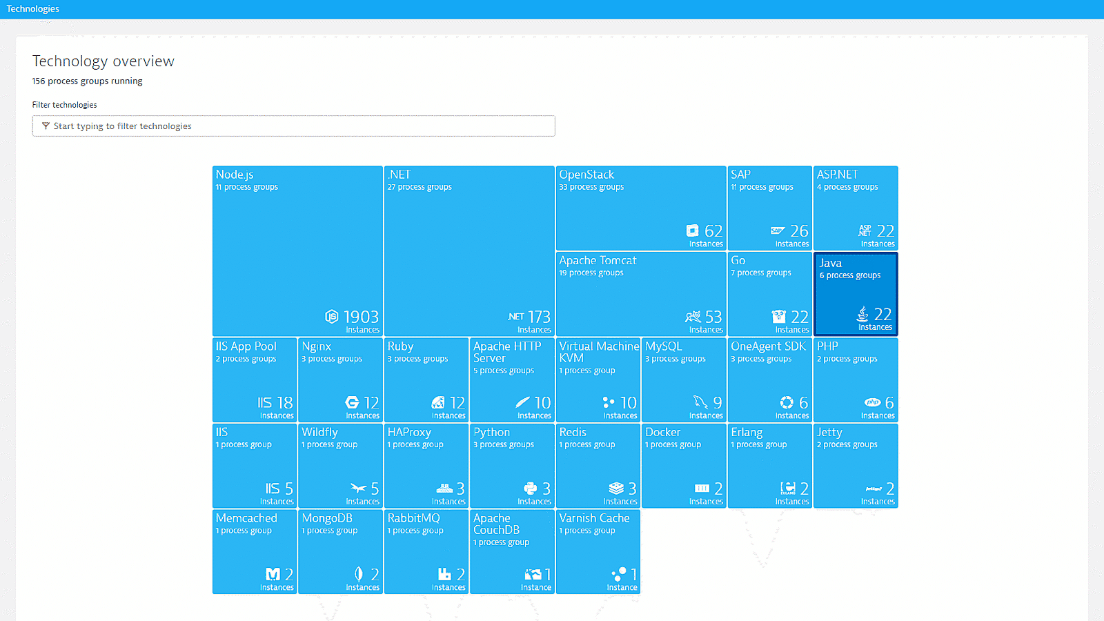 Technology overview Java process groups Dynatrace screenshot